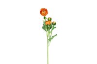 Countryfield zijden bloem Ranunculus 53 cm oranje