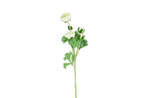 Countryfield zijden bloem Ranunculus 53 cm wit
