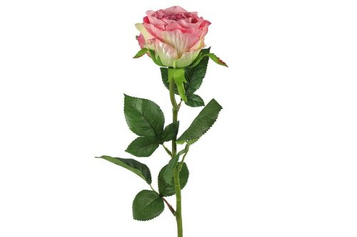 Countryfield zijden bloem roos 70 cm roze