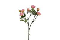 Countryfield zijden bloem rosa Shakira 35 cm licht roze