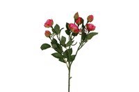 Countryfield zijden bloem Rosa tros Shakira 35 cm donker roze