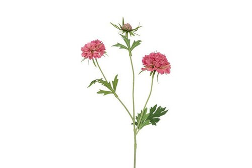 Countryfield zijden bloem Scabiosa 72 cm lila