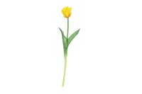 Countryfield zijden bloem tulp (parkiet) 40 cm geel