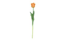 Countryfield zijden bloem tulp (parkiet) 40 cm oranje