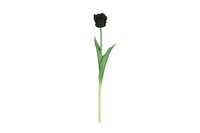 Countryfield zijden bloem Tulp (parkiet) 40 cm zwart
