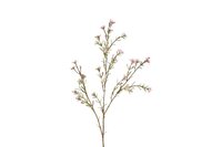 Countryfield zijden bloem van wax tamara 78 cm roze