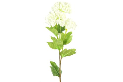 Countryfield zijden bloem Viburnum 60 cm crème