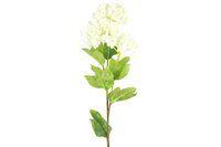 Countryfield zijden bloem Viburnum 60 cm crème
