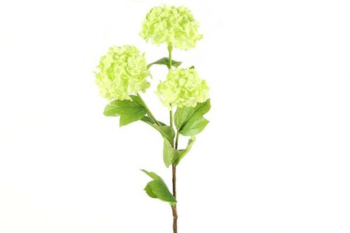 Countryfield zijden bloem Viburnum 60 cm groen