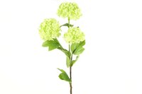 Countryfield zijden bloem Viburnum 60 cm groen