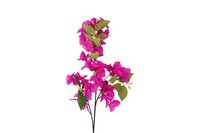 Countryfield zijden Bougianvillea Kreta 77 cm paars