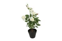 Countryfield zijden Camellia kunstplant 50 cm wit