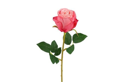 Countryfield zijden compasion roos 60 cm roze