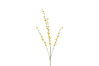 Countryfield zijden Cytisus 108 cm oranje