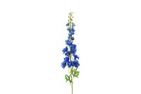 Countryfield zijden Delphinium Pacific XL 103 cm blauw