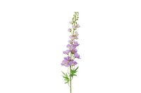 Countryfield zijden Delphinium Pacific XL 103 cm paars