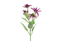Countryfield zijden Echinacea 70 cm paars