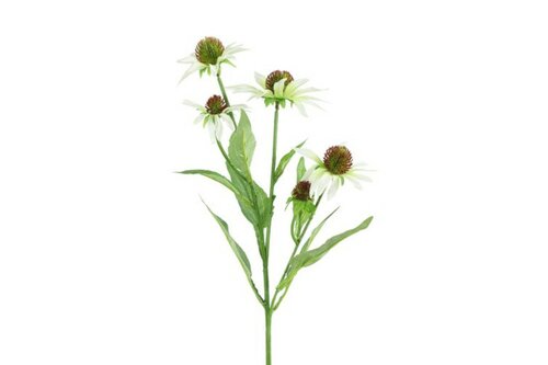 Countryfield zijden Echinacea 70 cm wit