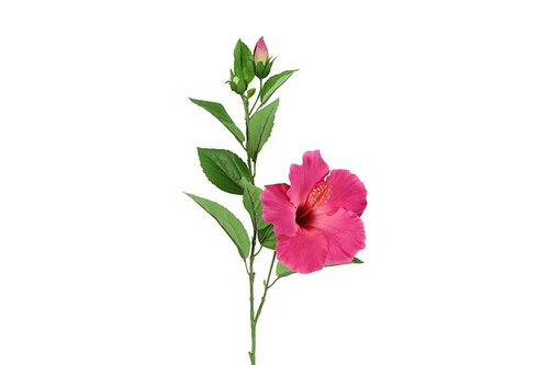 Countryfield zijden Hibiscus 70 cm fuchsia