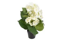 Countryfield zijden Hydrangea macrophylla plant 37 cm wit