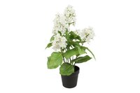 Countryfield zijden Hydrangea plant 60 cm wit