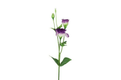 Countryfield zijden Lisianthus S 67 cm paars