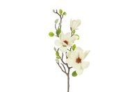 Countryfield zijden magnolia S wit 75 cm