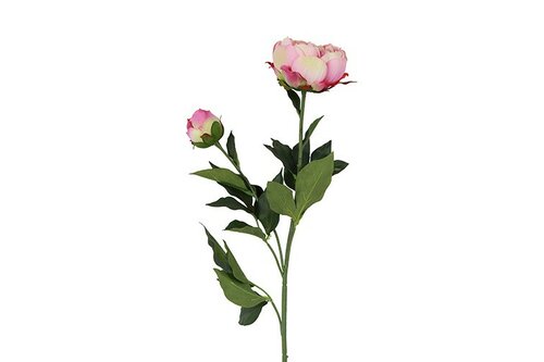 Countryfield zijden Paeonia Dian crème - afbeelding 1