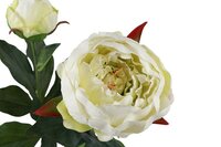 Countryfield zijden Paeonia Dian wit - afbeelding 2