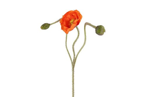 Countryfield zijden Papaver 83 cm oranje