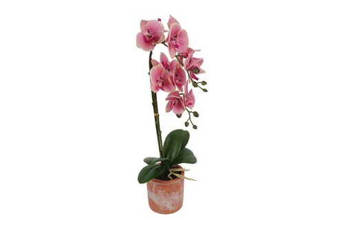 Countryfield zijden Phalaenopsis kunstplant 45 cm roze