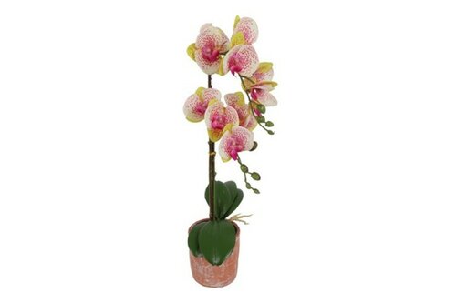 Countryfield zijden Phalaenopsis kunstplant 45 cm veelkleurig