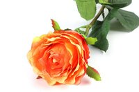 Countryfield zijden roos oranje - afbeelding 2