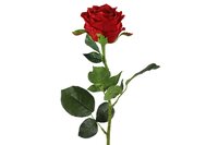 Countryfield zijden roos rood - afbeelding 1