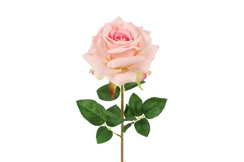 Countryfield zijden Rosa Compasion 72 cm licht roze