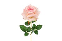 Countryfield zijden Rosa Compasion 72 cm licht roze