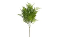 Countryfield zijden steker/hang Asparagus S 55 cm groen