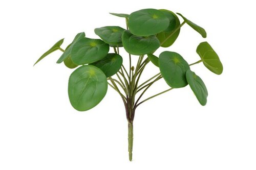 Countryfield zijden steker/hang Pilea 25 cm groen