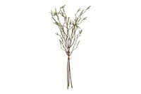 Countryfield zijden tak bundel Salix babylonica 58 cm groen