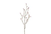 Countryfield zijden tak Eryngium S 75 cm roze