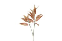 Countryfield zijden tak Eucalyptus 80 cm bruin