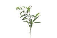 Countryfield zijden tak Eucalyptus 90 cm groen