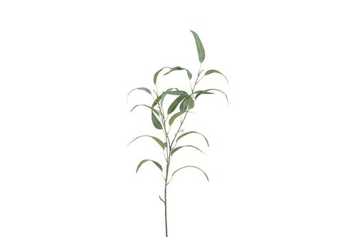 Countryfield zijden tak Eucalyptus steel 90 cm groen