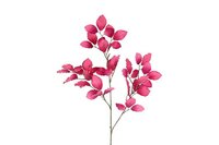 Countryfield zijden tak Fagus sylvatica 100 cm roze