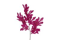 Countryfield zijden tak Meaple Colourfull 95 cm paars