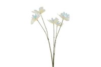 Countryfield zijden tak vlinder iriserend 76 cm crème