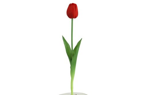 Countryfield zijden Tulp 45 cm rood