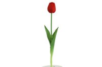 Countryfield zijden Tulp 45 cm rood