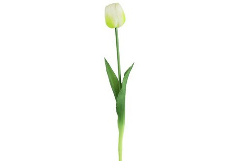 Countryfield zijden Tulp 45 cm wit