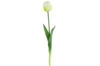 Countryfield zijden Tulp 45 cm wit